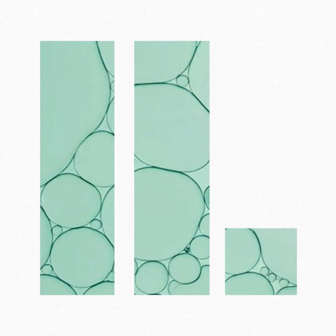Our brand